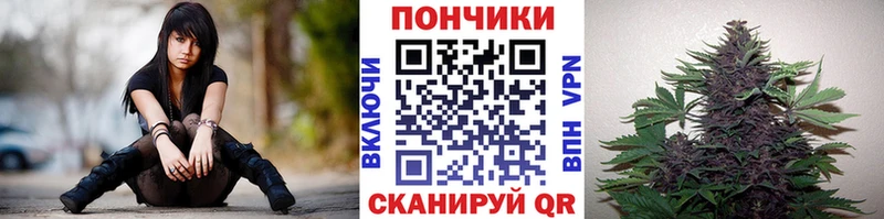 Купить наркотики цена Наволоки Конопля ГАШ