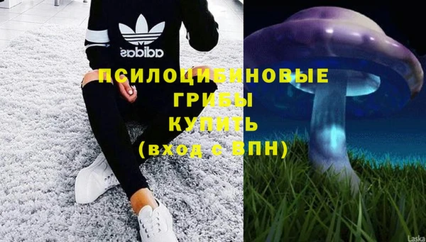 apvp Михайлов