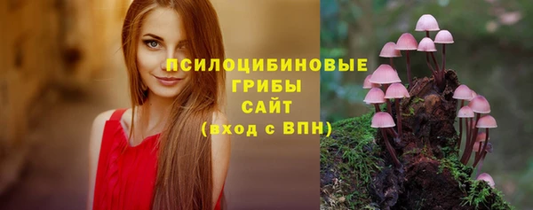 дурь Михайловск
